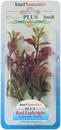 Augalas plastikinis 11-15cm Red Ludwigia